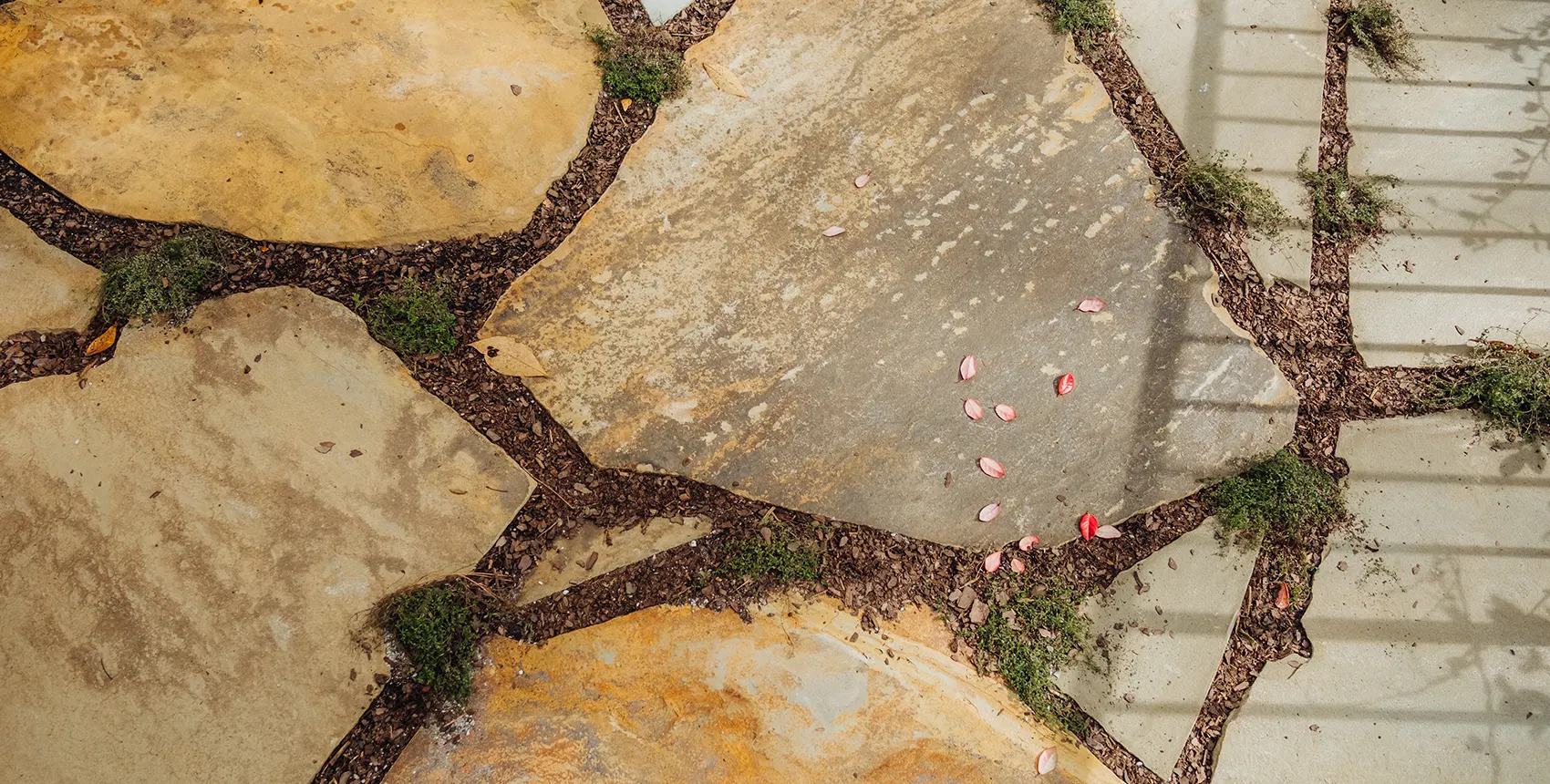 Arbor Land Design Gill Project