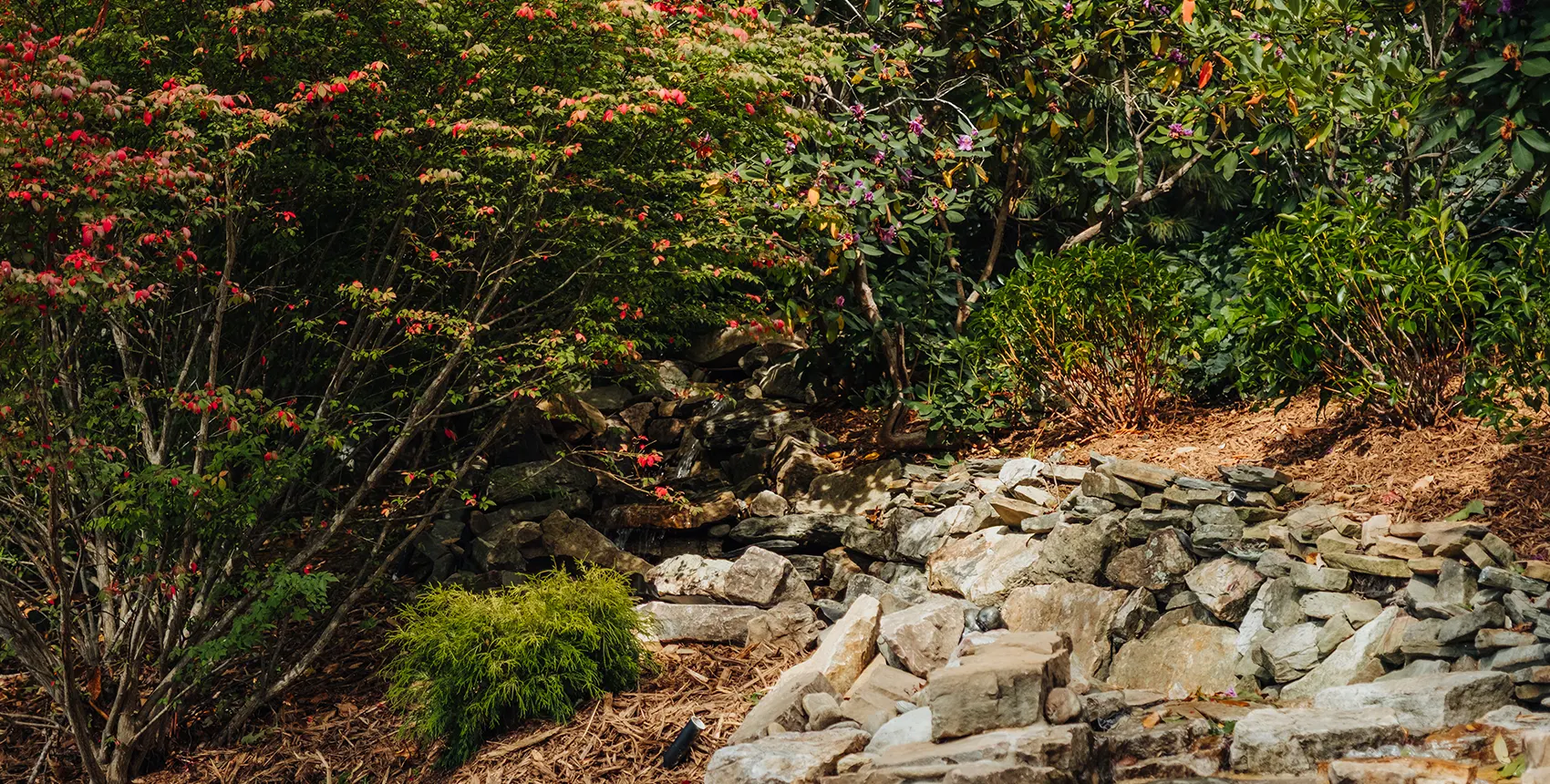 Arbor Land Design Gill Project