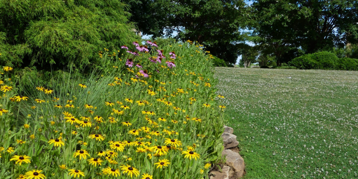 Arbor Land Design Legacy Park 