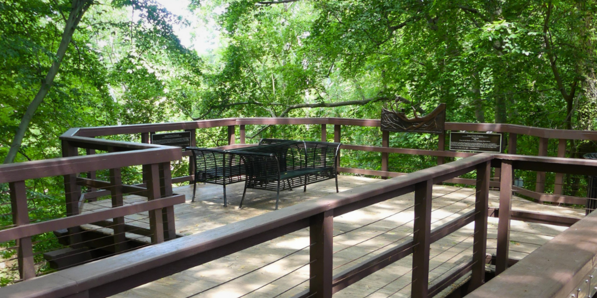 Arbor Land Design Cancer Survivors Park