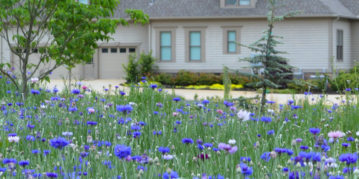 Arbor Land Design Residential Landscape Architecture