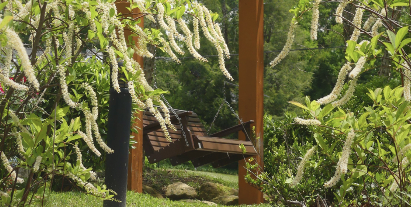 Arbor Land Design Linley Park