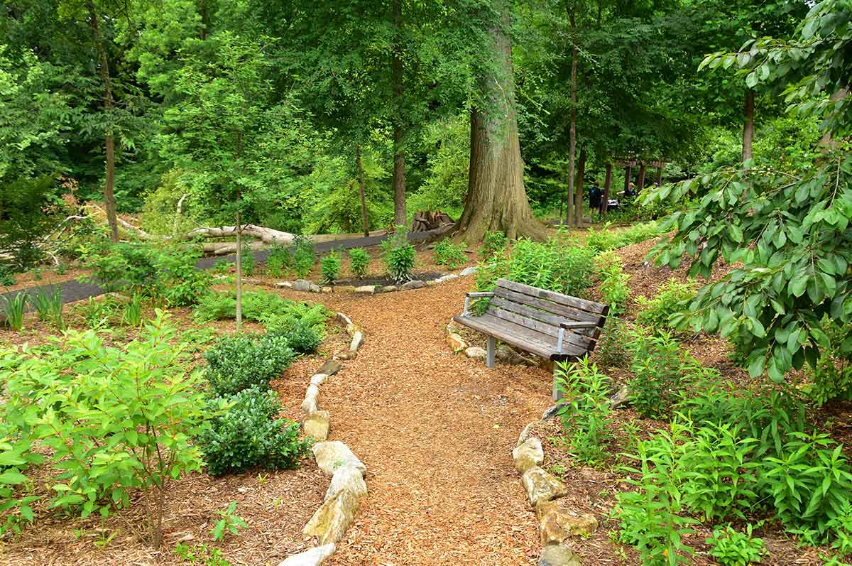 Arbor Land Design Cancer Survivor's Park