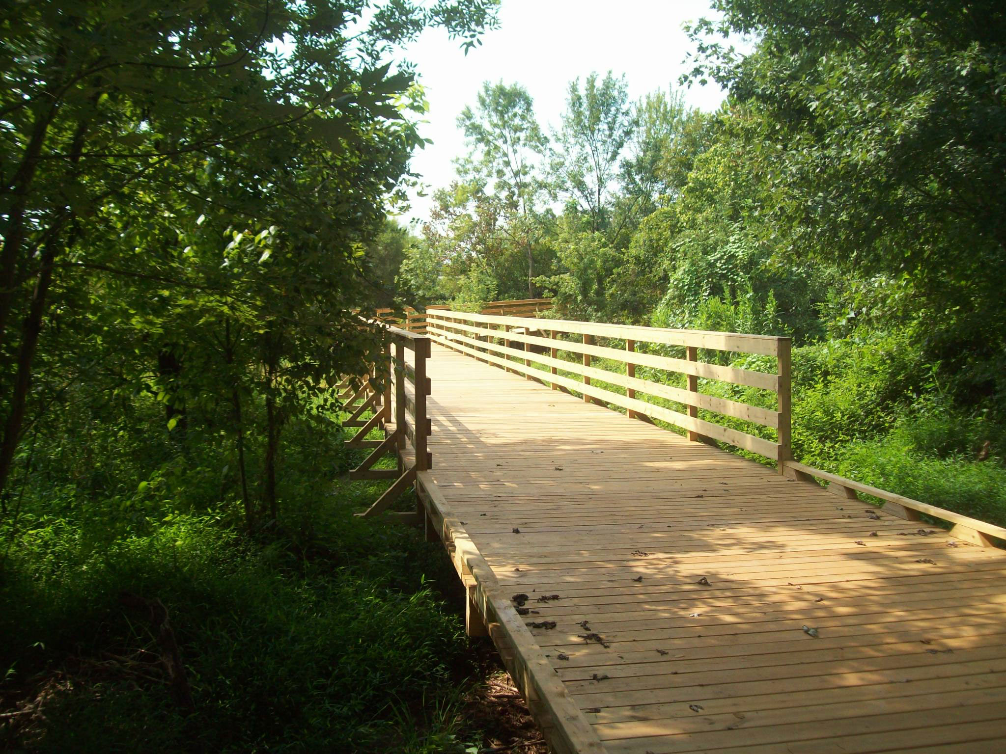 Conestee Park Arbor Land Design