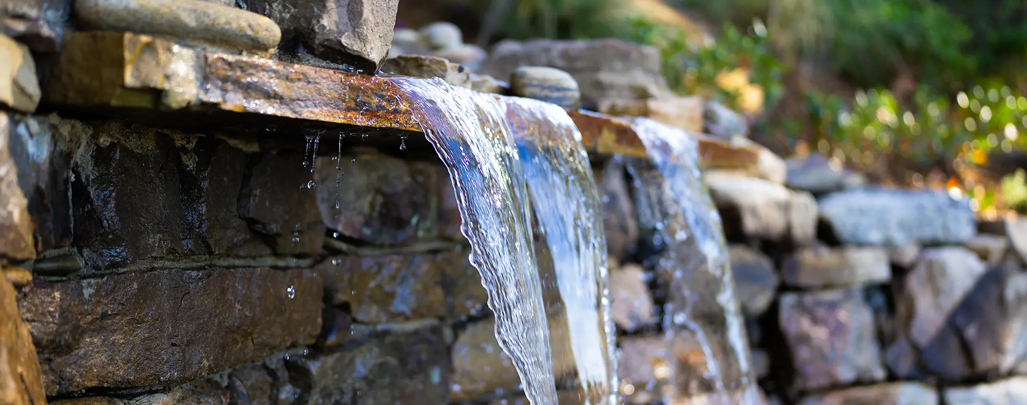 Arbor Land Design Landscape Architecture