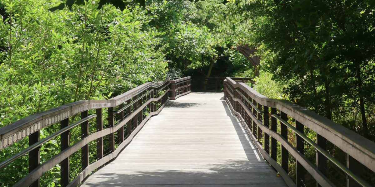 Arbor Land Design Cancer Survivors Park