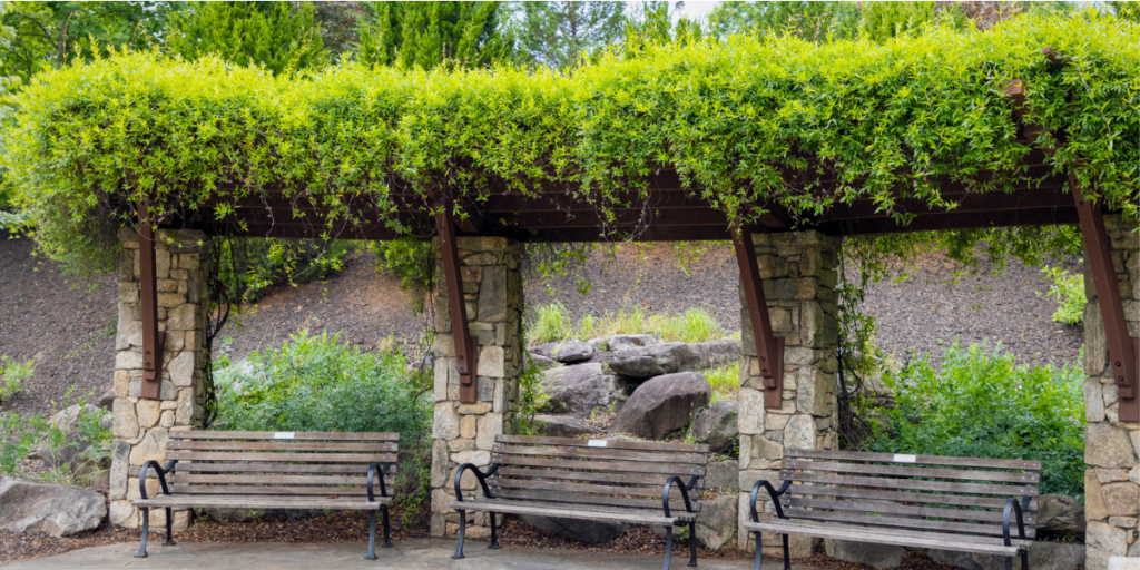 Arbor Land Design Cancer Survivors Park