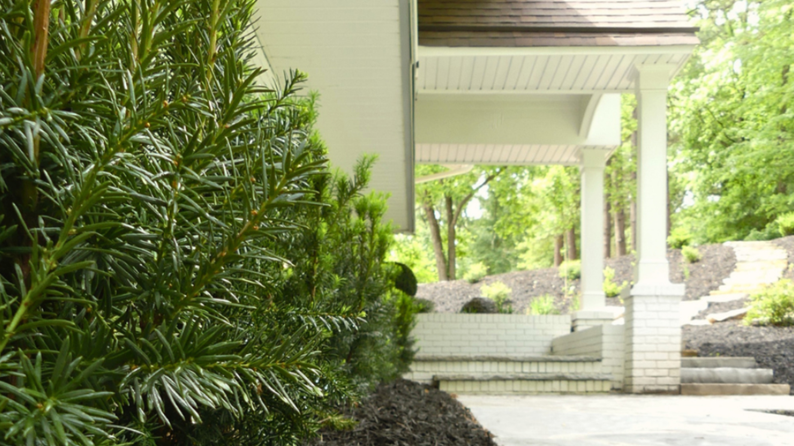 Arbor Land Design Residential Landscape Architecture Burns Residence